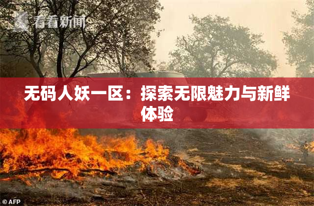 无码人妖一区：探索无限魅力与新鲜体验