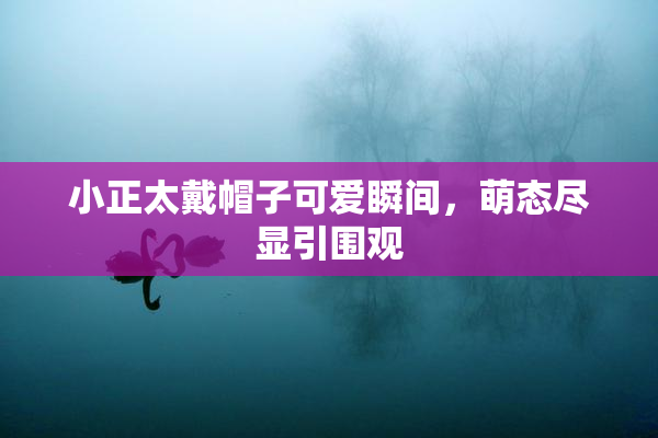 小正太戴帽子可爱瞬间，萌态尽显引围观