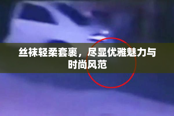 丝袜轻柔套裹，尽显优雅魅力与时尚风范