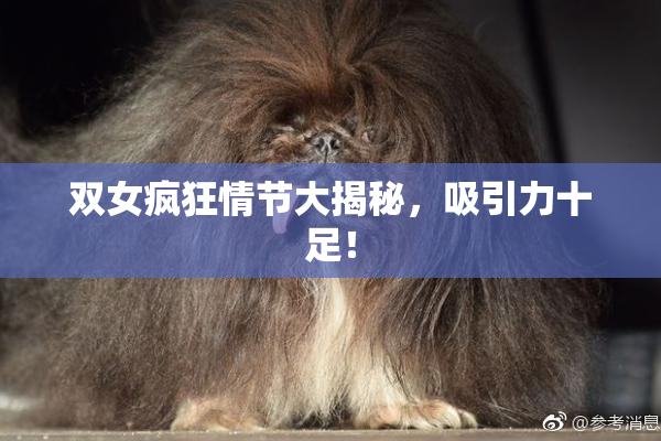 双女疯狂情节大揭秘，吸引力十足！