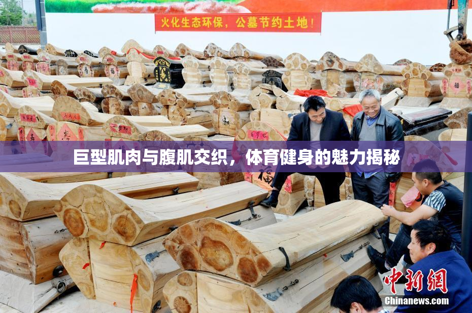 巨型肌肉与腹肌交织，体育健身的魅力揭秘
