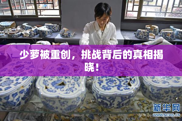 少萝被重创，挑战背后的真相揭晓！