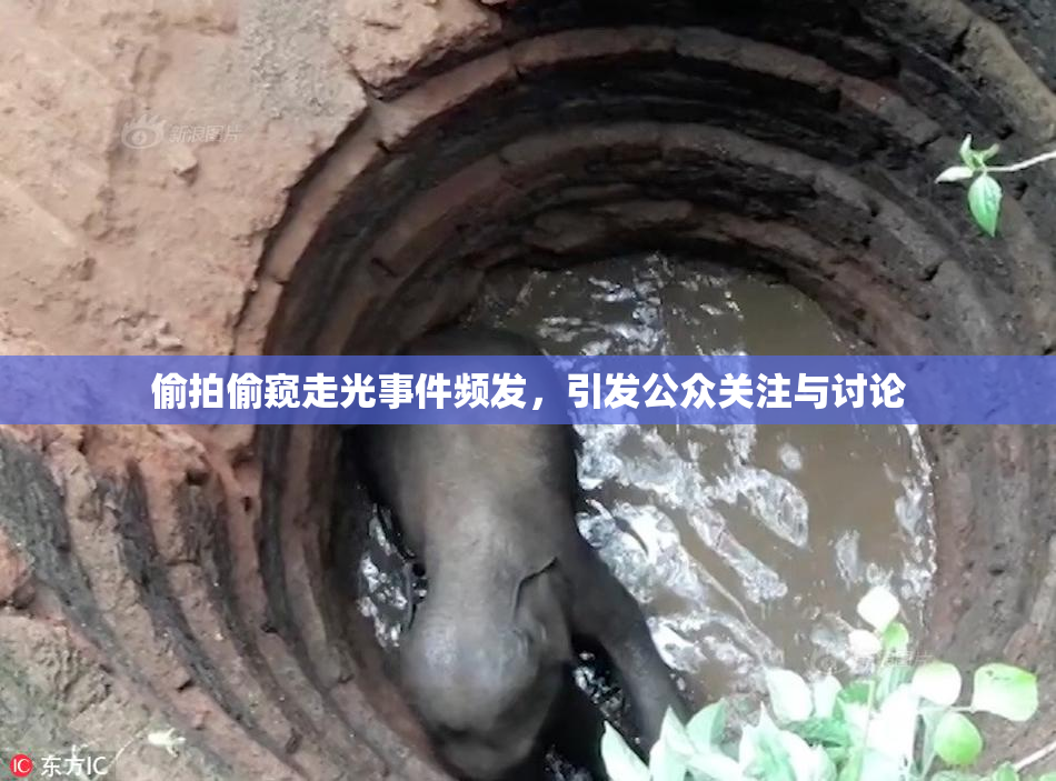 偷拍偷窥走光事件频发，引发公众关注与讨论