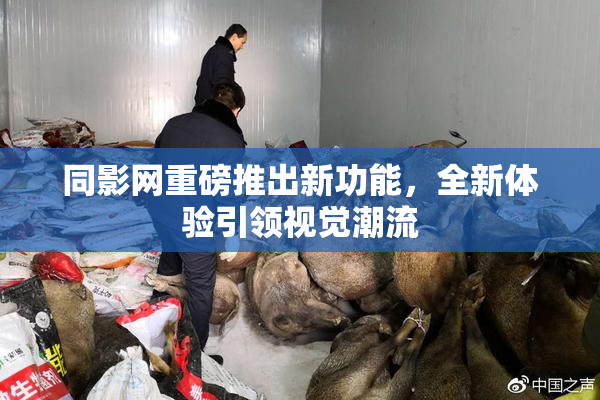 同影网重磅推出新功能，全新体验引领视觉潮流