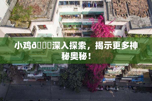 小鸡🐔深入探索，揭示更多神秘奥秘！