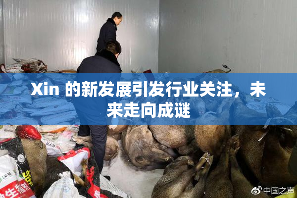Xin 的新发展引发行业关注，未来走向成谜