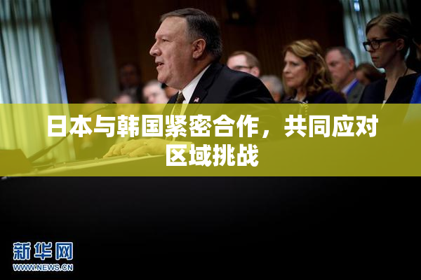 日本与韩国紧密合作，共同应对区域挑战