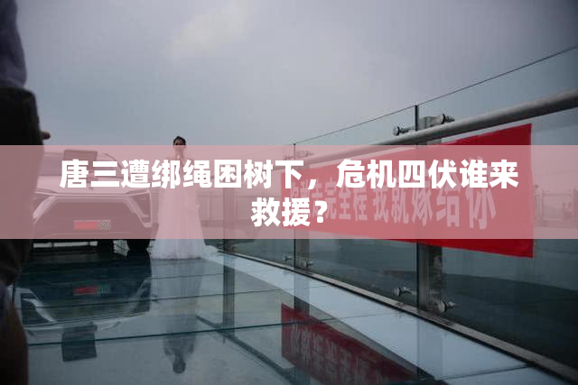 唐三遭绑绳困树下，危机四伏谁来救援？