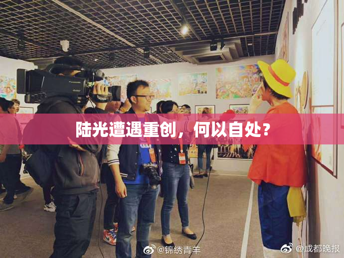 陆光遭遇重创，何以自处？