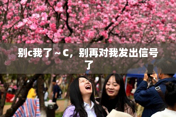 别c我了～C，别再对我发出信号了