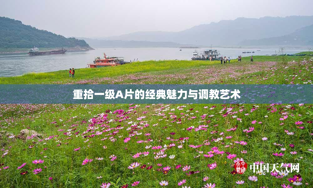 重拾一级A片的经典魅力与调教艺术