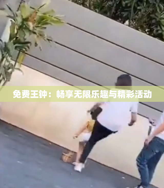免费王钟：畅享无限乐趣与精彩活动