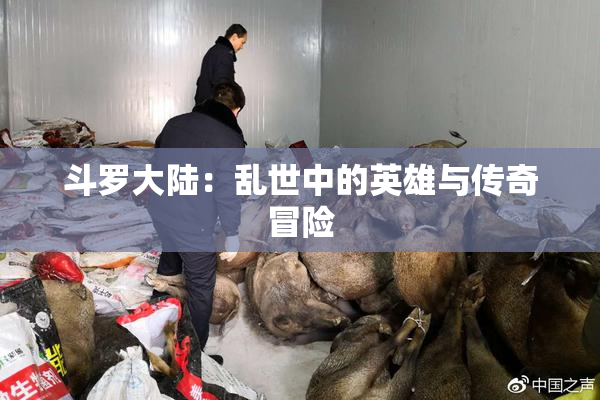 斗罗大陆：乱世中的英雄与传奇冒险
