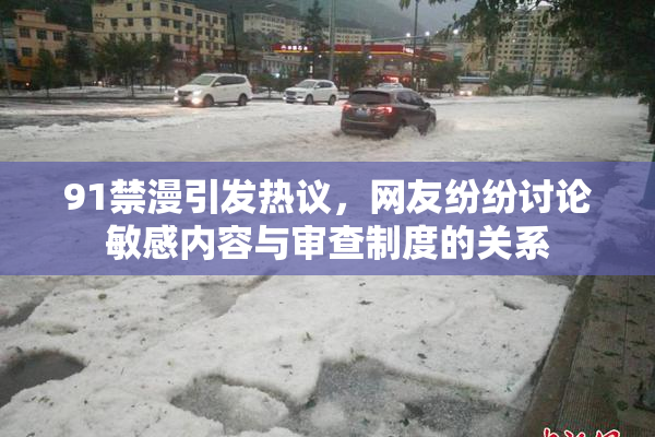 91禁漫引发热议，网友纷纷讨论敏感内容与审查制度的关系