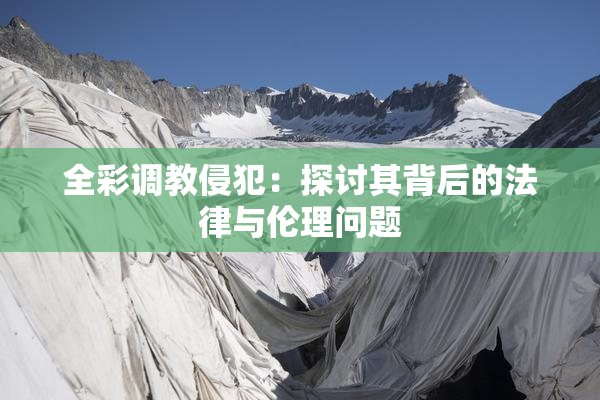 全彩调教侵犯：探讨其背后的法律与伦理问题