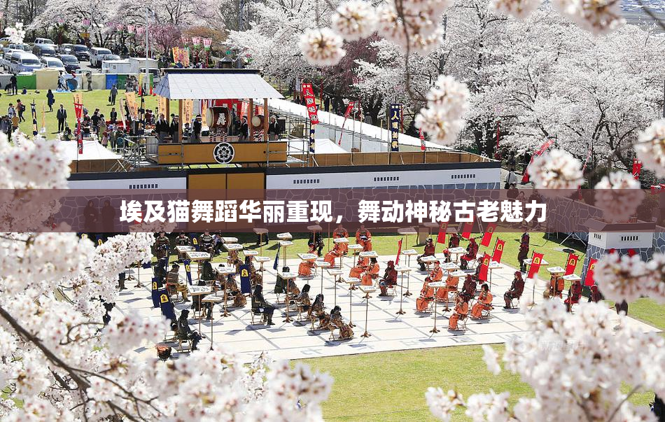 埃及猫舞蹈华丽重现，舞动神秘古老魅力