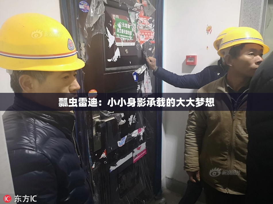 瓢虫雷迪：小小身影承载的大大梦想
