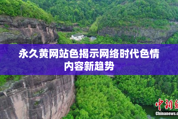 永久黄网站色揭示网络时代色情内容新趋势