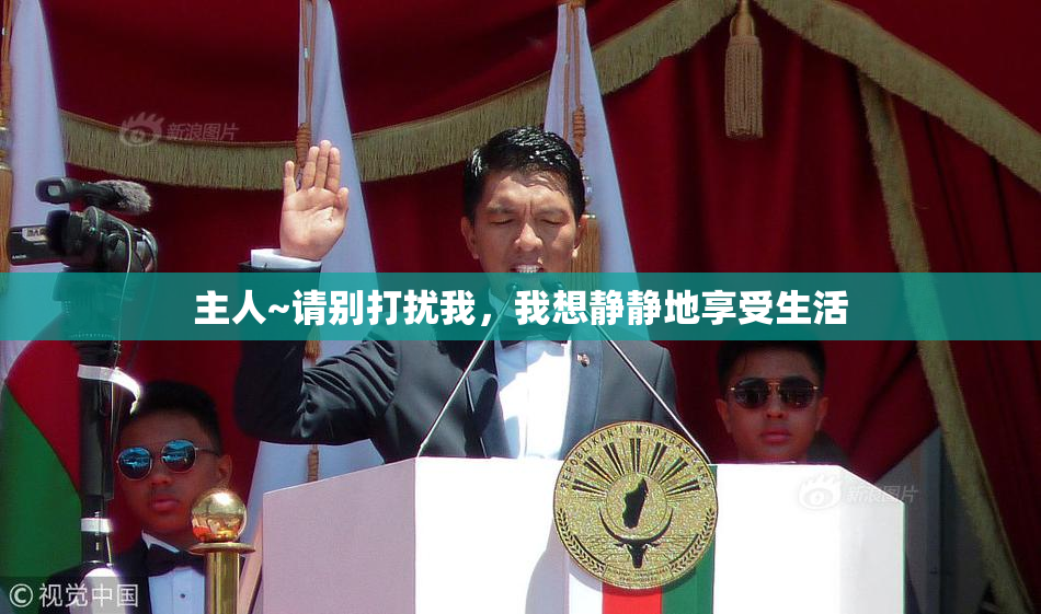 主人~请别打扰我，我想静静地享受生活