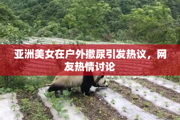 亚洲美女在户外撒尿引发热议，网友热情讨论