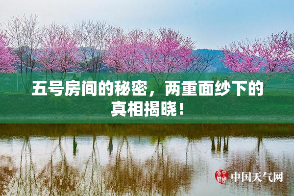 五号房间的秘密，两重面纱下的真相揭晓！