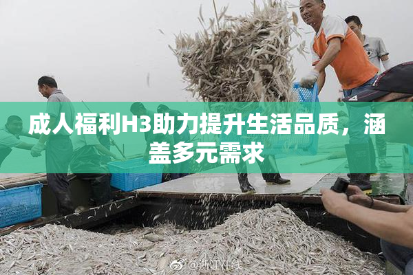 成人福利H3助力提升生活品质，涵盖多元需求