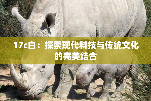 17c白：探索现代科技与传统文化的完美结合