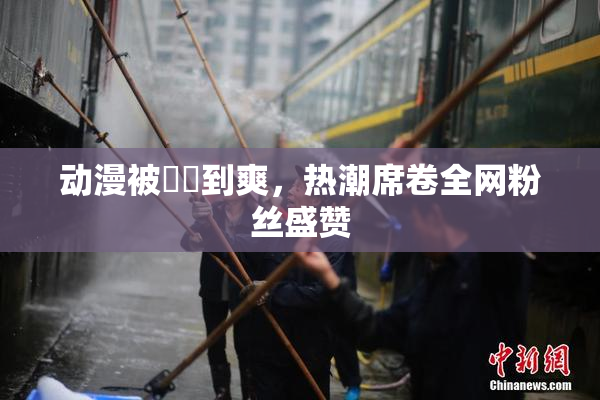 动漫被❌‌到爽，热潮席卷全网粉丝盛赞