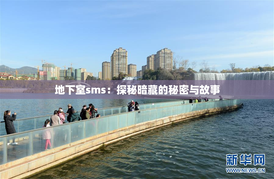 地下室sms：探秘暗藏的秘密与故事