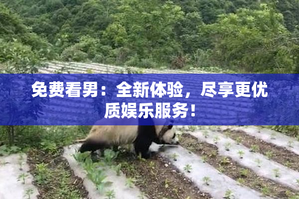 免费看男：全新体验，尽享更优质娱乐服务！