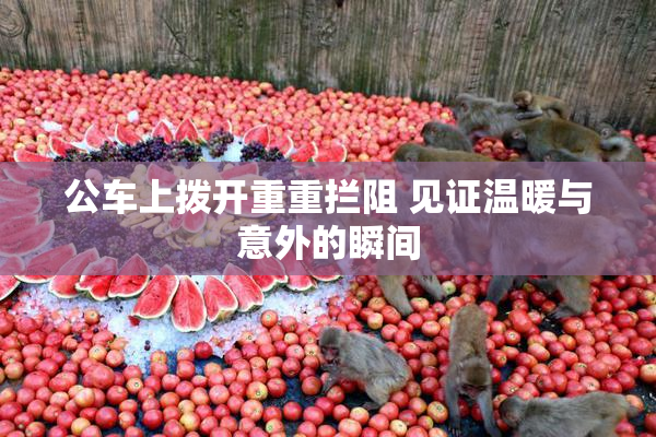 公车上拨开重重拦阻 见证温暖与意外的瞬间