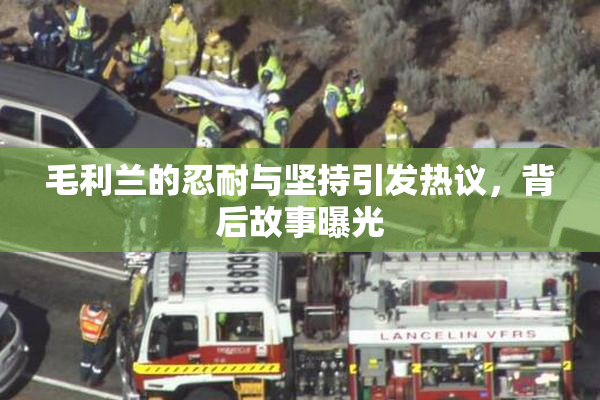 毛利兰的忍耐与坚持引发热议，背后故事曝光