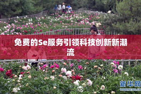 免费的Se服务引领科技创新新潮流