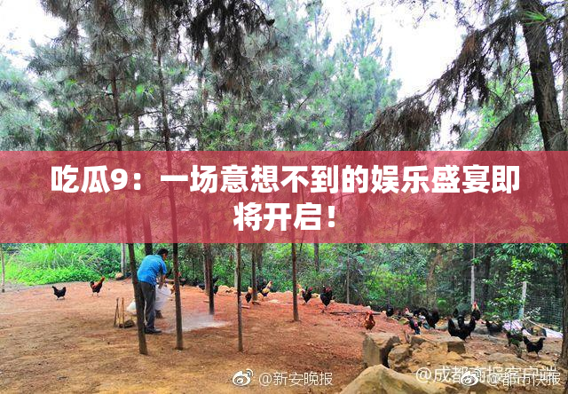 吃瓜9：一场意想不到的娱乐盛宴即将开启！