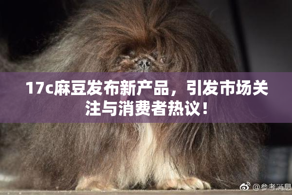 17c麻豆发布新产品，引发市场关注与消费者热议！