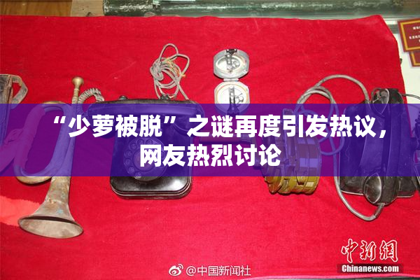 “少萝被脱”之谜再度引发热议，网友热烈讨论