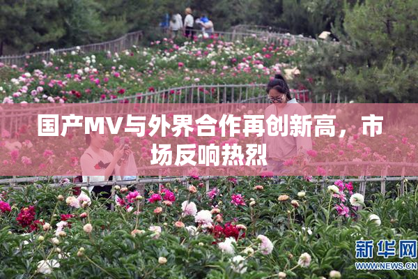 国产MV与外界合作再创新高，市场反响热烈