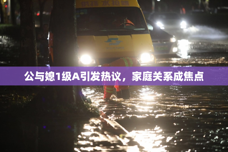 公与媳1级A引发热议，家庭关系成焦点