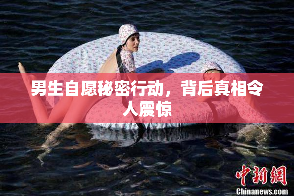 男生自愿秘密行动，背后真相令人震惊