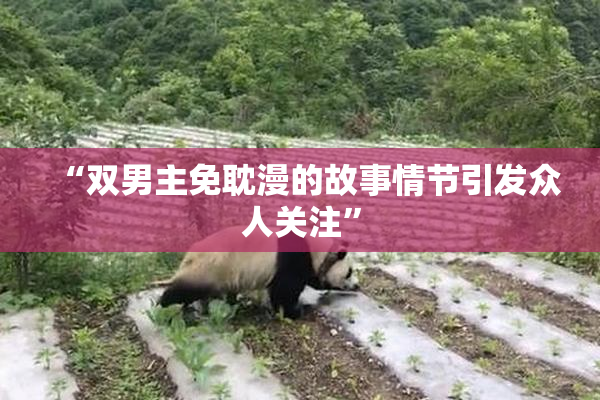 “双男主免耽漫的故事情节引发众人关注”