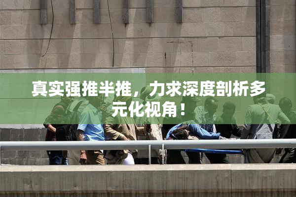 真实强推半推，力求深度剖析多元化视角！