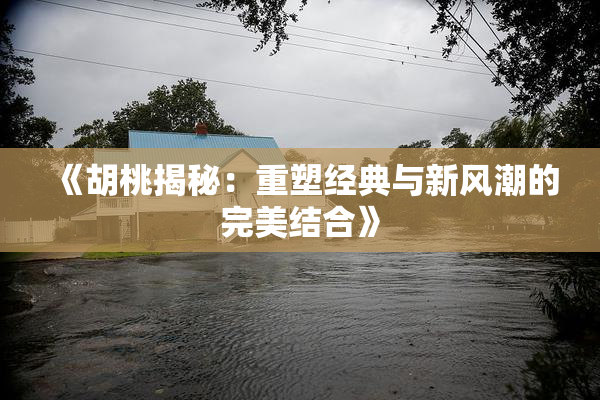 《胡桃揭秘：重塑经典与新风潮的完美结合》