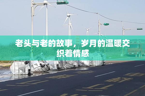 老头与老的故事，岁月的温暖交织着情感