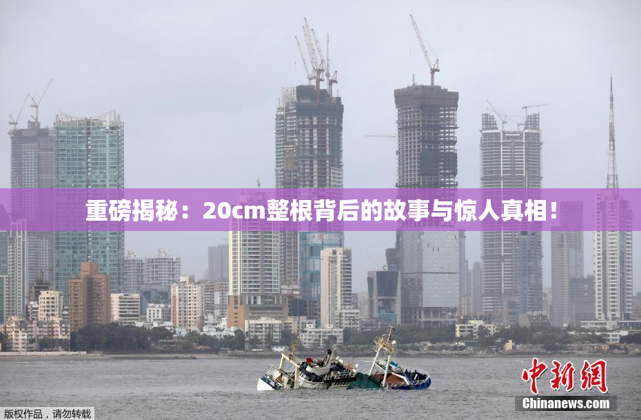 重磅揭秘：20cm整根背后的故事与惊人真相！