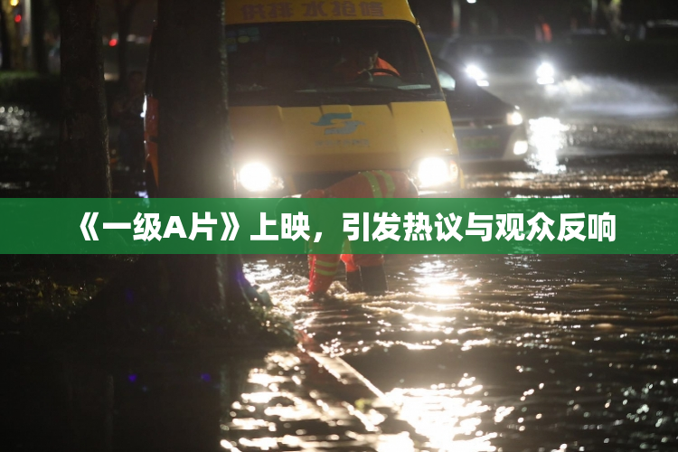 《一级A片》上映，引发热议与观众反响