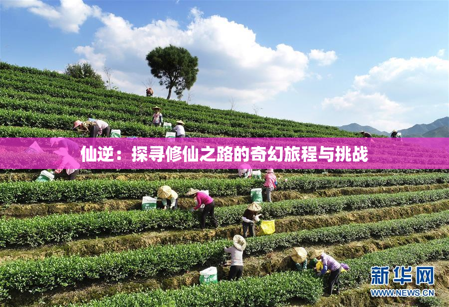 仙逆：探寻修仙之路的奇幻旅程与挑战