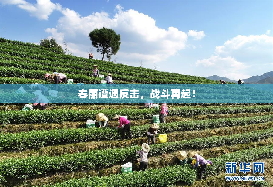 春丽遭遇反击，战斗再起！
