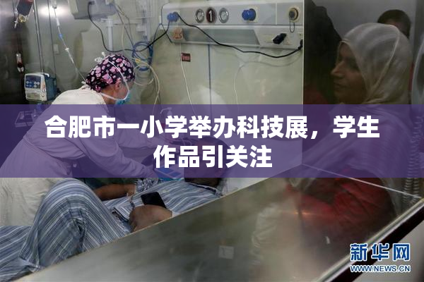 合肥市一小学举办科技展，学生作品引关注
