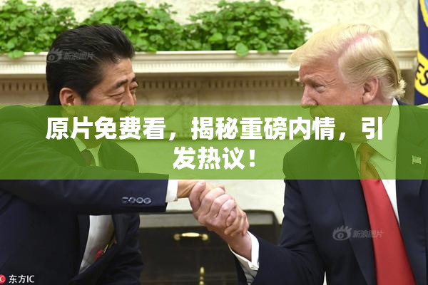 原片免费看，揭秘重磅内情，引发热议！