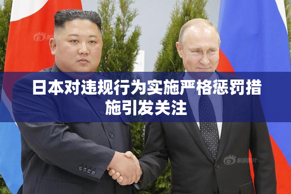 日本对违规行为实施严格惩罚措施引发关注